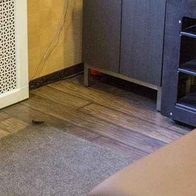 Флёр де лис