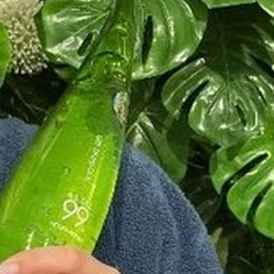 ALOE smart в Тюмени Советская улица, 51/1