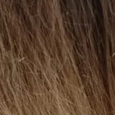 Крокус в Аксае Ростовская область, Аксай, Платова, 83, 1 этаж