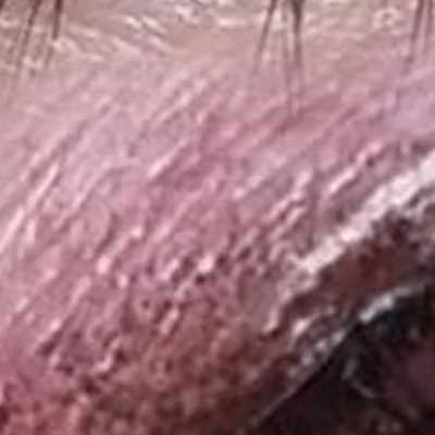 Anika в Новосибирске Инюшенская улица, 20